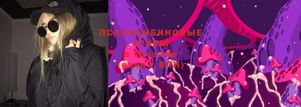 хмурый Осинники