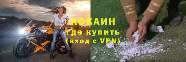 хмурый Осинники