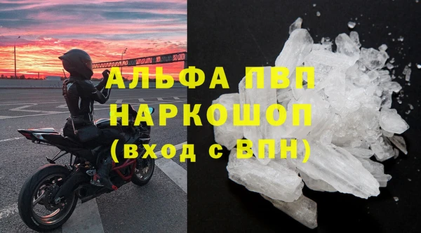 хмурый Осинники
