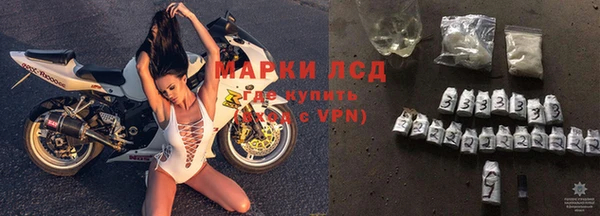 PSILOCYBIN Няндома